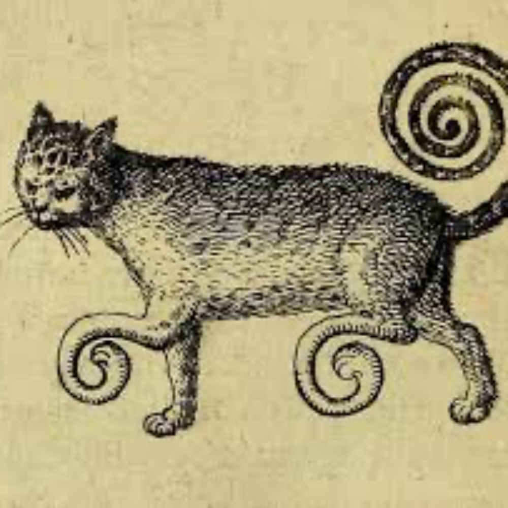 Meet your Posher, Abigail